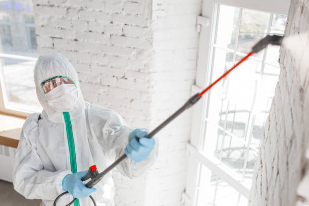 Best Indoor Air Quality Assessment  in Tariffville, CT