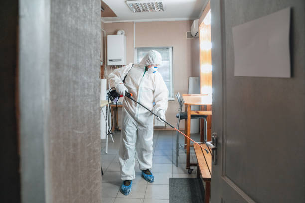 Best Mold Removal for HVAC Installations  in Tariffville, CT